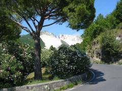 107-0708_img.jpg
