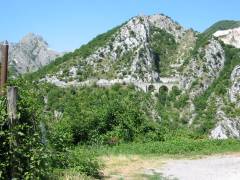 107-0709_img.jpg