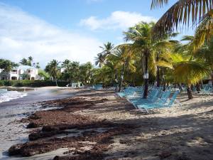 buccaneermermaidbeach.jpg
