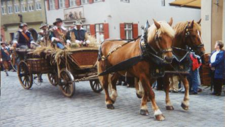 dink-horses.jpg