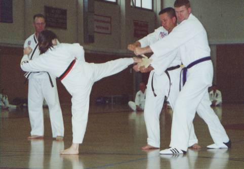 sabrina-reverse-side-kick.jpg